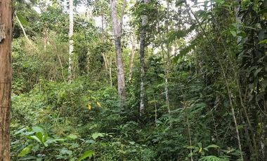¿Construir la casa de campo soñada? Quizás ahora solo buscas un lugar tranquilo junto al río para 'disfrutar' de la vida después de 'trabajar duro'.