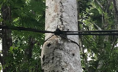 ¿Construir la casa de campo soñada? Quizás ahora solo buscas un lugar tranquilo junto al río para 'disfrutar' de la vida después de 'trabajar duro'.