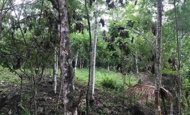 ¿Construir la casa de campo soñada? Quizás ahora solo buscas un lugar tranquilo junto al río para 'disfrutar' de la vida después de 'trabajar duro'.