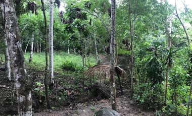 ¿Construir la casa de campo soñada? Quizás ahora solo buscas un lugar tranquilo junto al río para 'disfrutar' de la vida después de 'trabajar duro'.