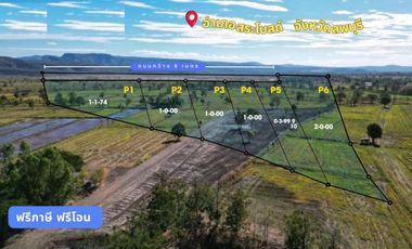 Land sale, start 1 rai each plot ,195KB, free transfer, Sa Bot District, Lopburi