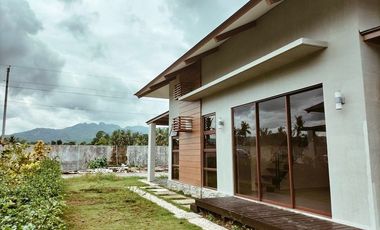 Brand New Beach House and Lot for Sale in Aduna Beach villas in Danao City, Cebu