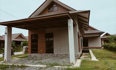 Brand New Beach House and Lot for Sale in Aduna Beach villas in Danao City, Cebu
