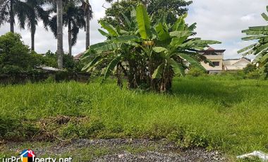 for sale residential lots in maryville talamban cebu city