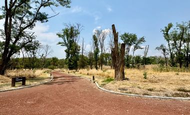 Terreno en Venta en El Carmen Atlixco, Puebla Camino a Nexatengo
