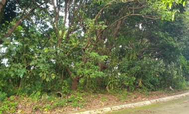400 sqm Vacant Lot for Sale in Eastland Heights, Antipolo City