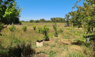 Se vende casa sólida en parcela de 5.000 m2,Pelarco