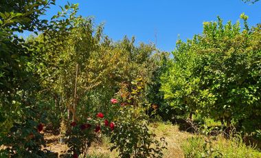 Se vende casa sólida en parcela de 5.000 m2,Pelarco