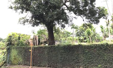 LOT FOR LEASE – 839 SQM | LUCSUHIN, SILANG, CAVITE