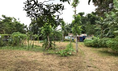 LOT FOR LEASE – 839 SQM | LUCSUHIN, SILANG, CAVITE