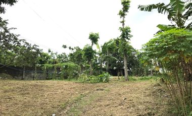 LOT FOR LEASE – 839 SQM | LUCSUHIN, SILANG, CAVITE