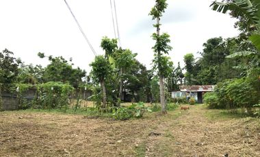 LOT FOR LEASE – 839 SQM | LUCSUHIN, SILANG, CAVITE