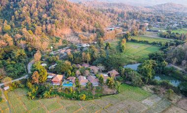 Resort Business for SALE Great view with Rice fields and Mountain in Mae On