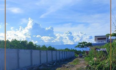 PARK PLACE 2 - TANYA - 2 STOREY SINGLE ATTACHED in Babag 2, Lapu-lapu City