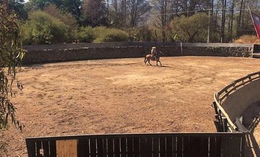 VENDE CASA EN PARCELA 5000 M2, PARQUE CANTILLANA, PAINE