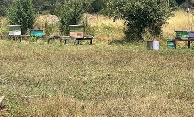 Vende Parcela Una Ha (San Rafael)