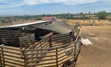 Vende Parcela Una Ha (San Rafael)