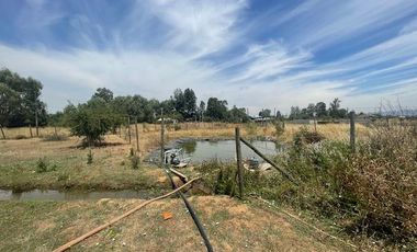 Vende Parcela Una Ha (San Rafael)