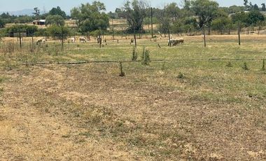 Vende Parcela Una Ha (San Rafael)
