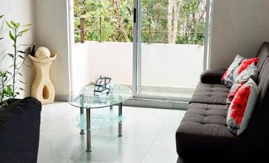 SE RENTA DEPARTAMENTO AMUEBLADO EN PALMAS TURQUESA, Playa del Carmen