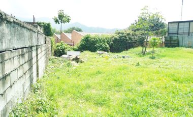 PR20156 Lote en arriendo en el sector El Yarumito