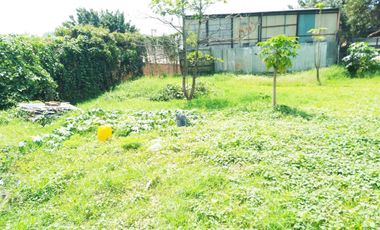 PR20156 Lote en arriendo en el sector El Yarumito