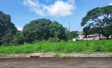 The Inner Lot for Sale in Orchard Estates via Daang Hari