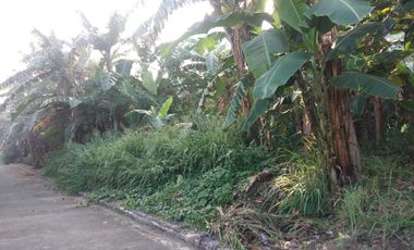 Lot for sale in Canlubang, Calamba City