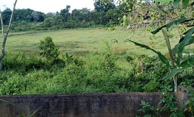 Tanah Darat Kosong Strategis Siap Bangun Di Cikeas Bogor
