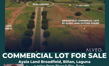 Great Investment 1518 SQM Commercial Lot for Sale in Ayala Broadfield