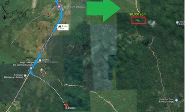 Lot for Sale in Siargao Located in Sayak, Del Carmen, Siargao near the Siargao Airport Agriculture Residential Commercial