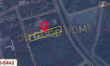 Land in Chiang Rai, 200 sq w, Soi Doi Phra Bat.