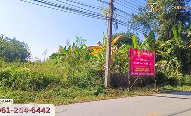 Land in Chiang Rai, 200 sq w, Soi Doi Phra Bat.