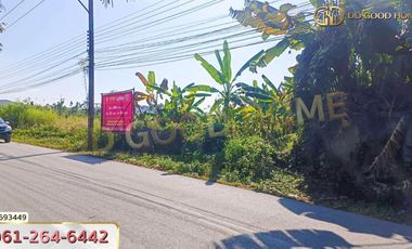 Land in Chiang Rai, 200 sq w, Soi Doi Phra Bat.
