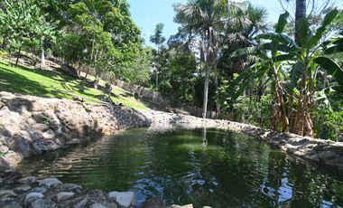 VENDO TERRENO 2.60 Has. TARAPOTO PERÚ