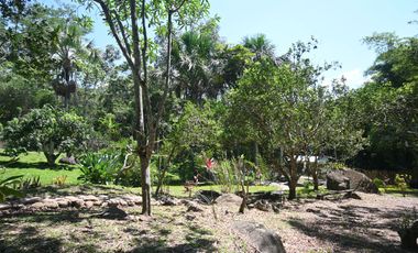 VENDO TERRENO 2.60 Has. TARAPOTO PERÚ