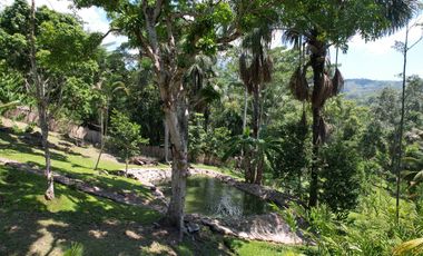 VENDO TERRENO 2.60 Has. TARAPOTO PERÚ