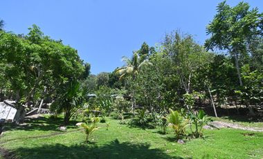 VENDO TERRENO 2.60 Has. TARAPOTO PERÚ