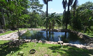 VENDO TERRENO 2.60 Has. TARAPOTO PERÚ