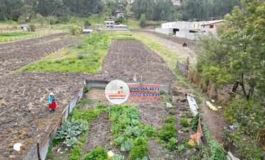 Casa con terreno ideal para cultivo o proyecto inmobiliario, Sector vía a Checa T408