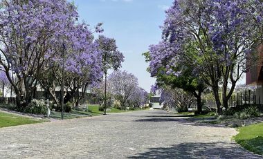 Espectacular Terreno en venta Arauca 2, Zapopan, Jalisco, Lote 222 superficie de terreno 383.113 m², zona Valle Real, Mitica, Olivos