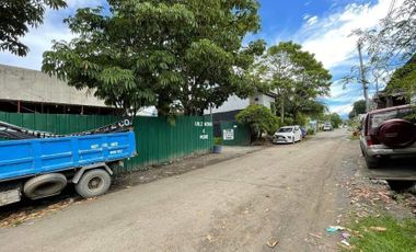 600sqm Commercial/Residential Lot in Juna Matina Davao City