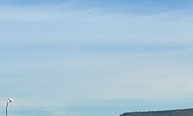 INVIERTE EN UN TERRENO EN RESERVA ECOLOGICA