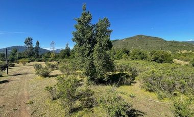 PARCELAS DE AGRADO CON ROL PROPIO LAS ASTILLAS (SAN RAFAEL)