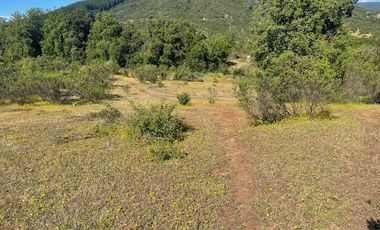 PARCELAS DE AGRADO CON ROL PROPIO LAS ASTILLAS (SAN RAFAEL)