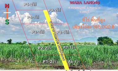 Land sale devided, start 1 Rai, 165KBaht, has utilities, Nong Muang District, Lopburi.