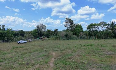 For Sale Batangas Residential Farm Lot 45,000sqm