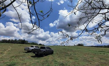 For Sale Batangas Residential Farm Lot 45,000sqm