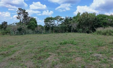 For Sale Batangas Residential Farm Lot 45,000sqm