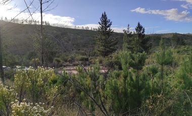 Parcelas en oferta con conexión a playas!!!!